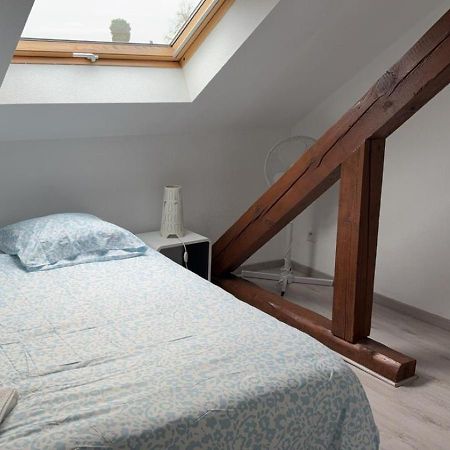 BischheimLe Manoir De Cyrielle A 10 Min Du Centre De Strasbourg公寓 外观 照片