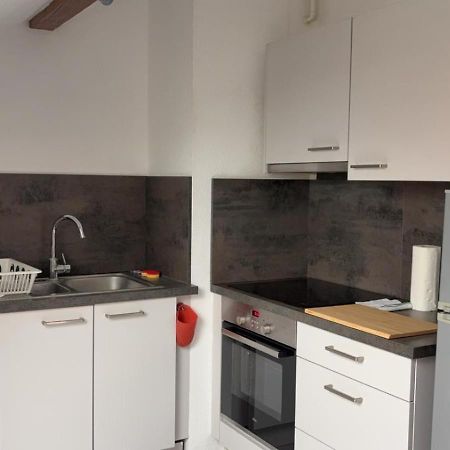 BischheimLe Manoir De Cyrielle A 10 Min Du Centre De Strasbourg公寓 外观 照片