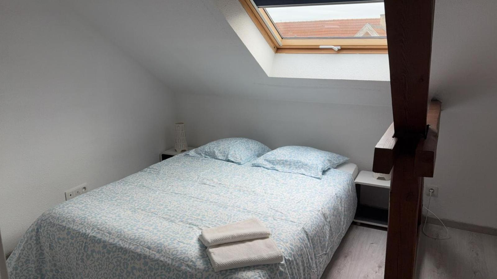 BischheimLe Manoir De Cyrielle A 10 Min Du Centre De Strasbourg公寓 外观 照片